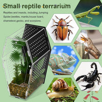 Acrylic Jumping Spider Habitat, Clear Insect & Reptile Terrarium Enclosure