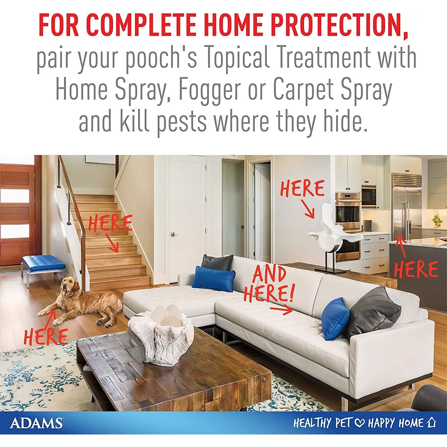 Adams Plus Flea and Tick Spot On for Small Dogs 5-14 lbs.