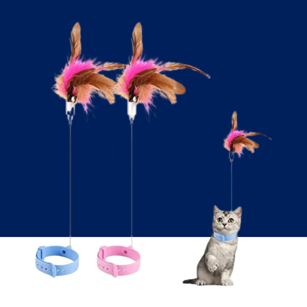 Adjustable Cat Collar Feather Teaser Toy with Bell - BIG FRENCHIES