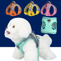 Adjustable Dog Harness & Leash Set for Small Dogs – Comfortable & Safe Walking Gear - BIG FRENCHIES