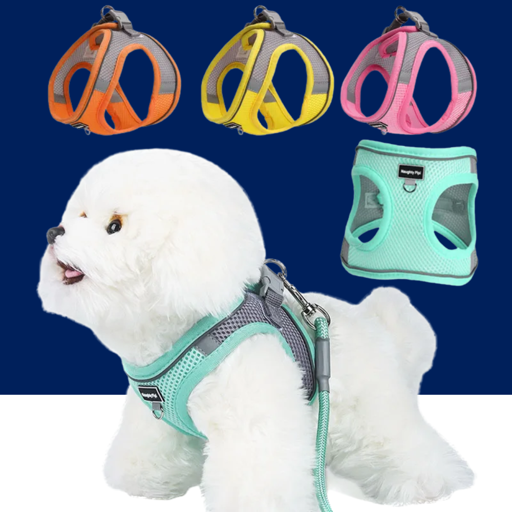 Adjustable Dog Harness & Leash Set for Small Dogs – Comfortable & Safe Walking Gear - BIG FRENCHIES