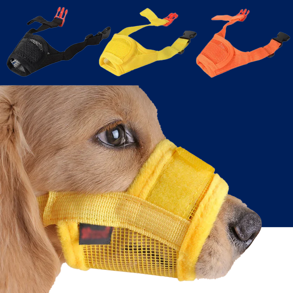 Adjustable Mesh Dog Muzzle – Anti-Barking & Anti-Biting Breathable Mouth Cover for Small & Medium Dogs - BIG FRENCHIES