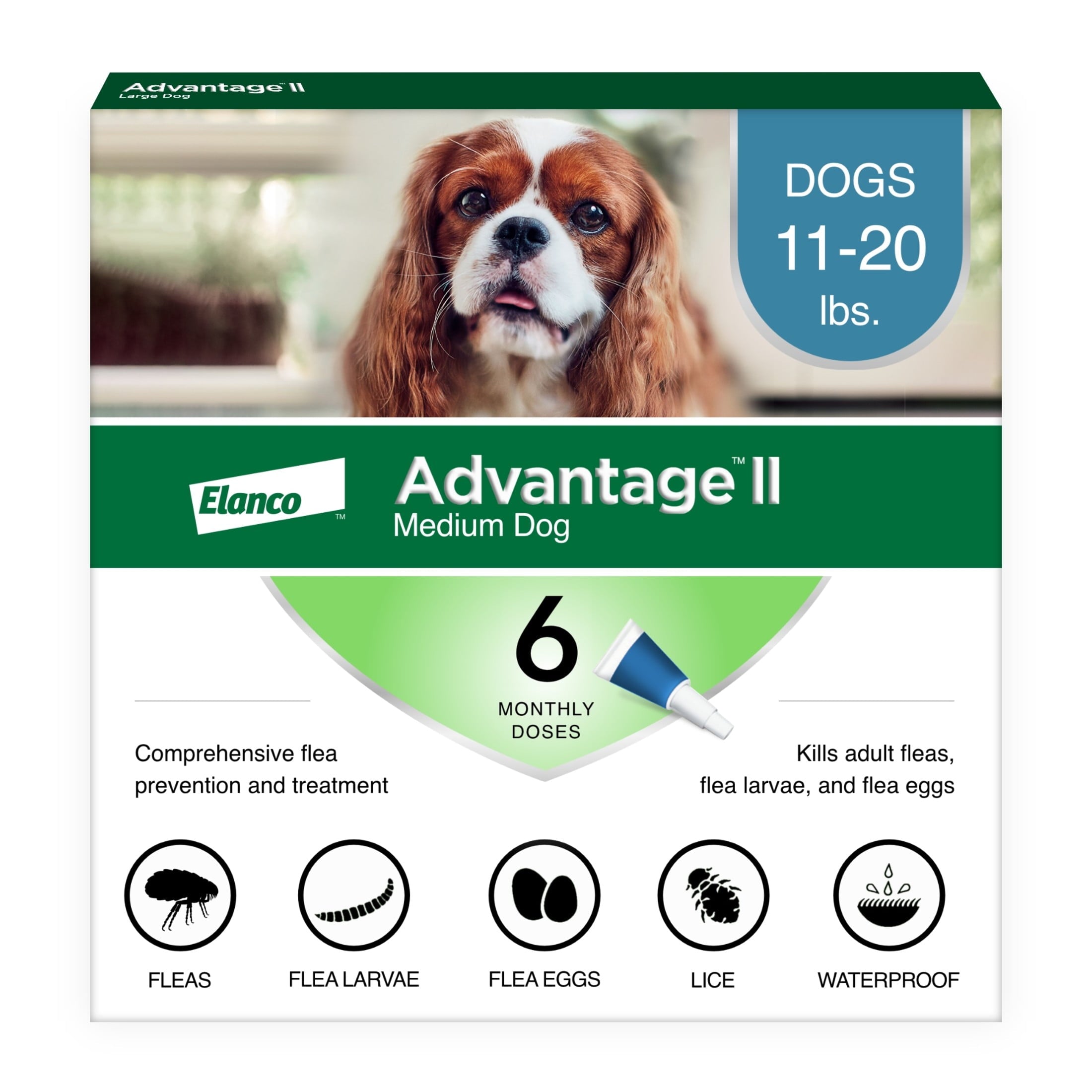 Vet-Recommended Flea Prevention for Medium Dogs 11-20 Lbs, 6-Monthly Treatments - BIG FRENCHIES