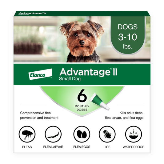 Vet-Recommended Flea Prevention for Small Dogs 3-10 Lbs, 6-Monthly Treatments - BIG FRENCHIES
