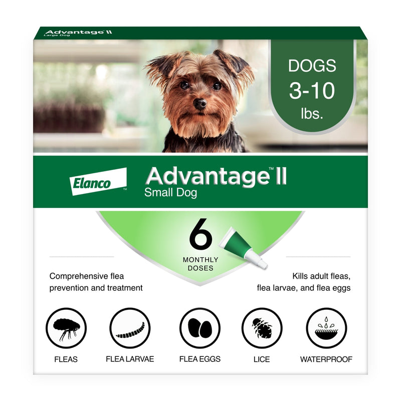 Vet-Recommended Flea Prevention for Small Dogs 3-10 Lbs, 6-Monthly Treatments - BIG FRENCHIES