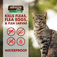 Cat Advecta Plus Flea Protection Squeeze-on Cats Over 9lbs 4ct