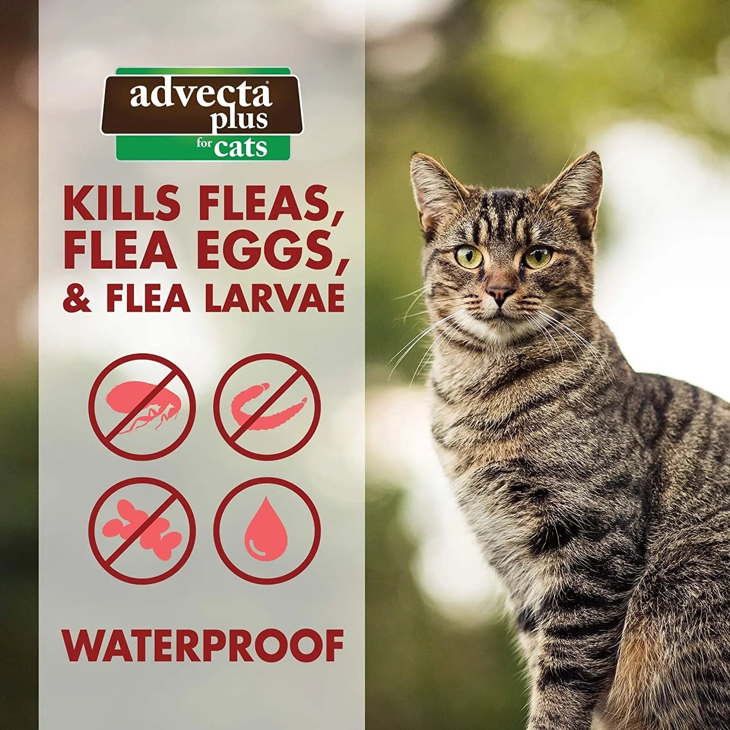 Cat Advecta Plus Flea Protection Squeeze-on Cats Over 9lbs 4ct