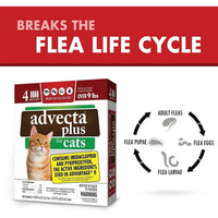 Cat Advecta Plus Flea Protection Squeeze-on Cats Over 9lbs 4ct