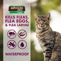 Advecta Plus Flea and Tick Treatment for Small Cats 4 Count
