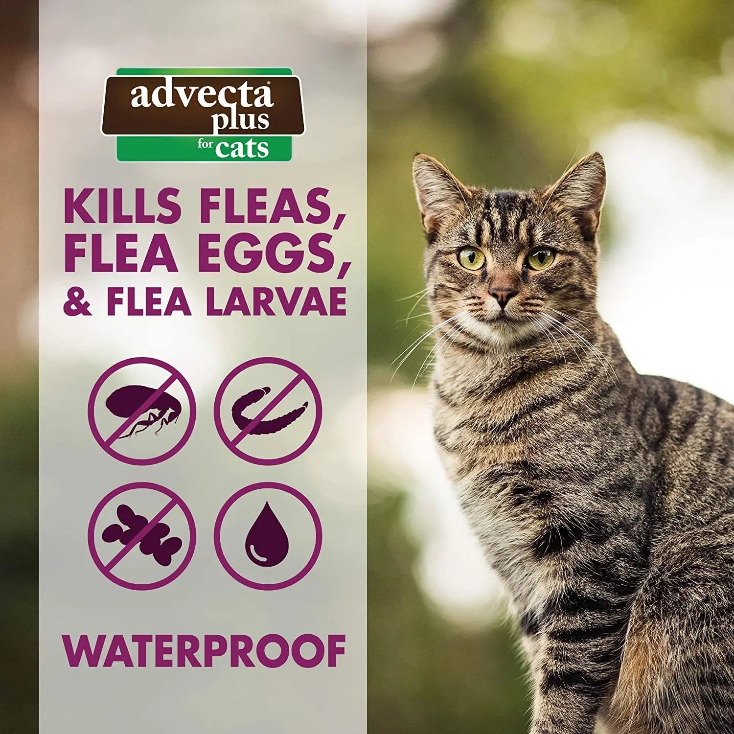 Advecta Plus Flea and Tick Treatment for Small Cats 4 Count
