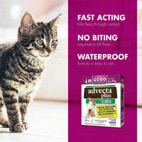 Advecta Plus Flea and Tick Treatment for Small Cats 4 Count