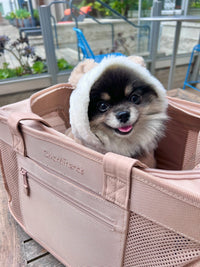 Beige Pet Travel Carrier - BIG FRENCHIES
