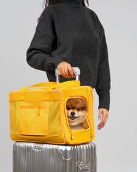 Sunburst Yellow Pet Travel carrier - BIG FRENCHIES