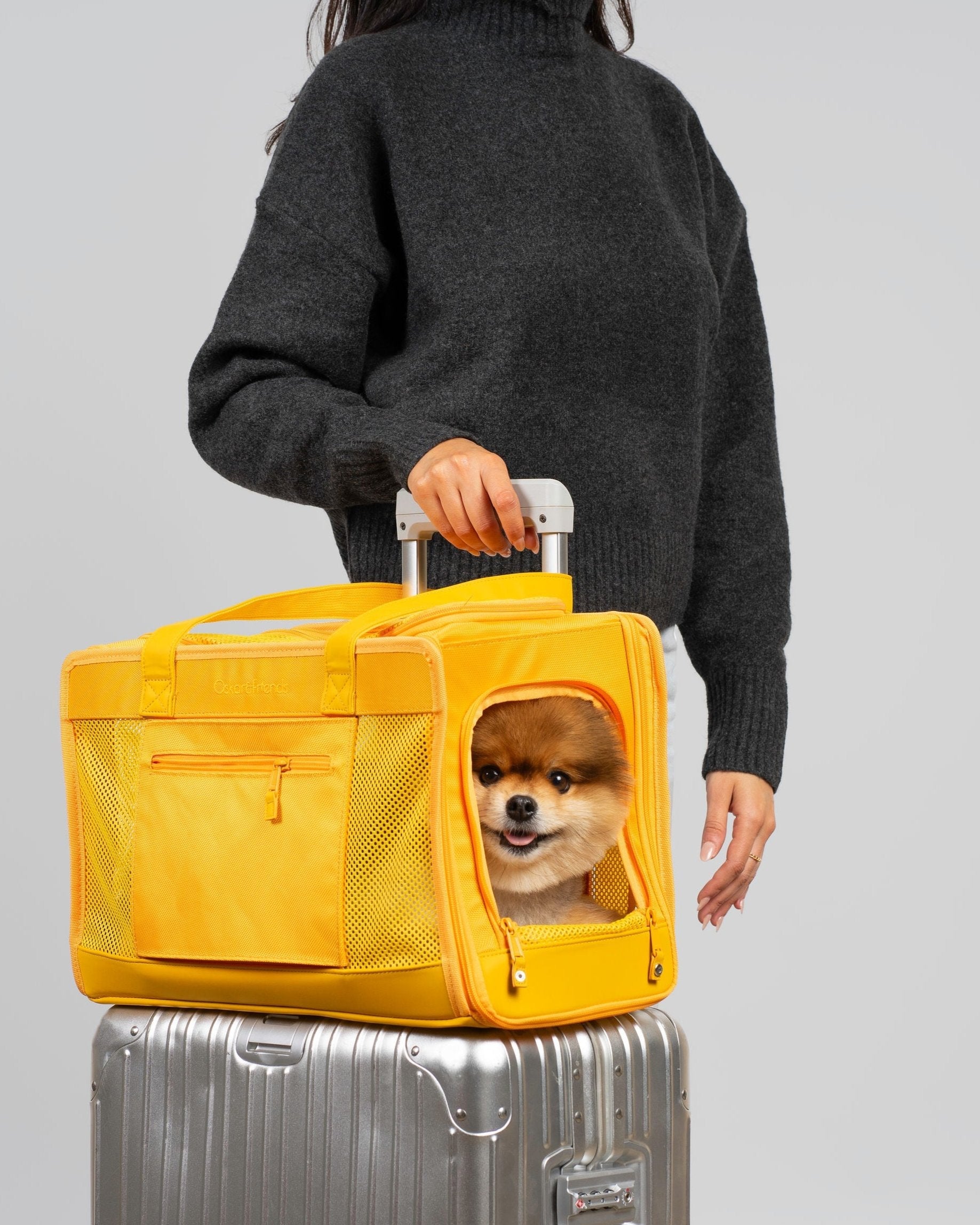 Sunburst Yellow Pet Travel carrier - BIG FRENCHIES