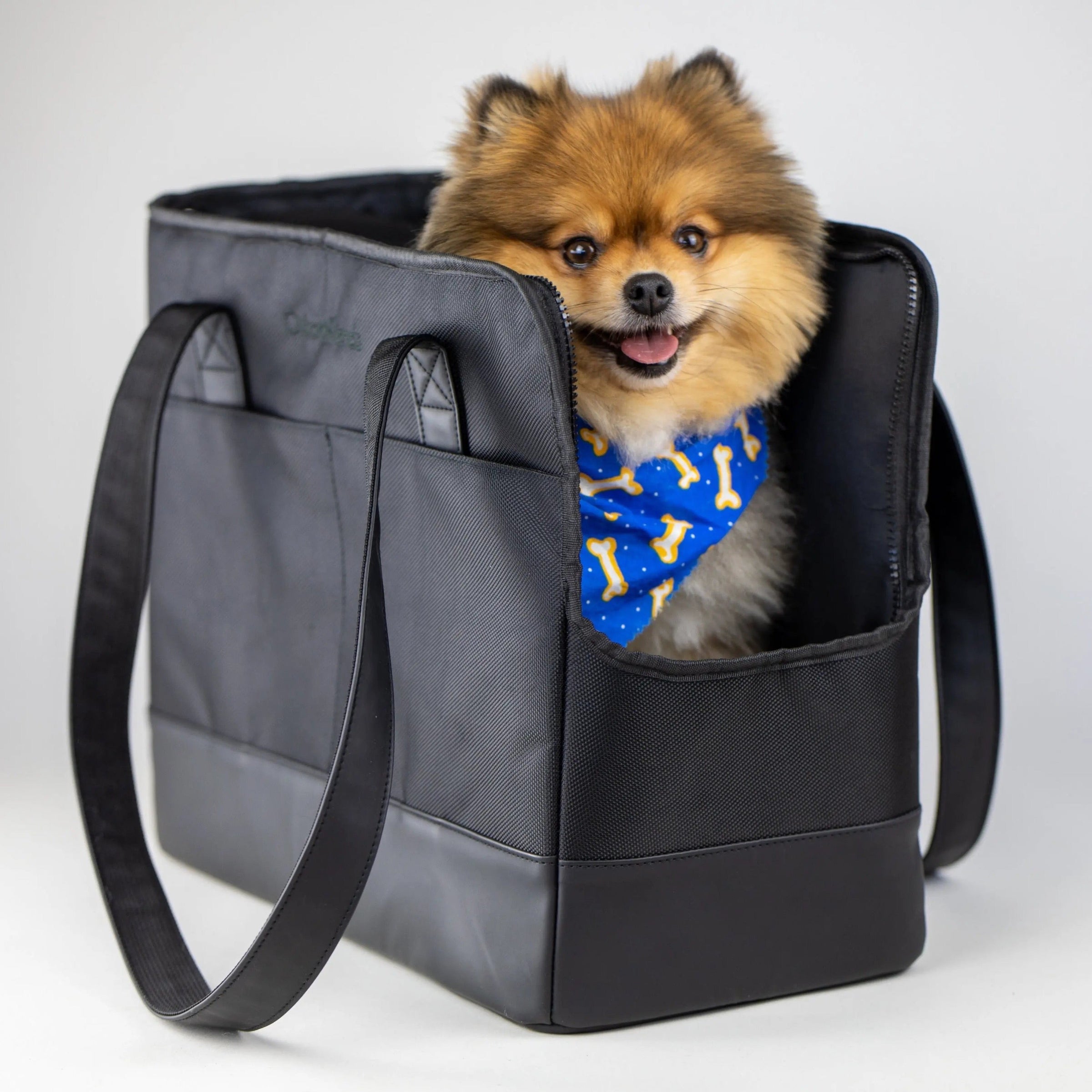 All-Black Pet Tote bag - BIG FRENCHIES
