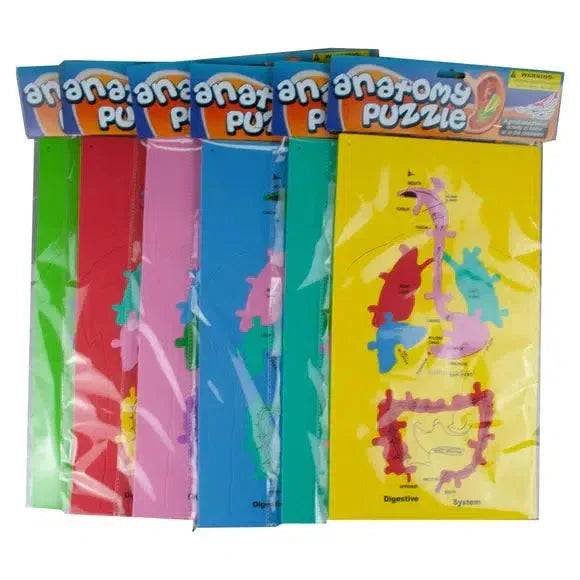 Anatomy 11 Piece Foam Puzzle - BIG FRENCHIES