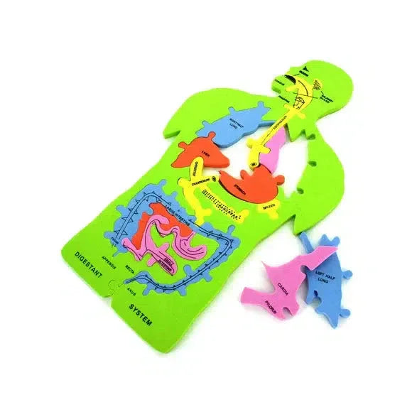 Anatomy 11 Piece Foam Puzzle - BIG FRENCHIES