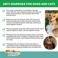 Anti Diarrhea Liquid for Dogs - Dog Diarrhea Relief with Kaolin (4 Oz.)