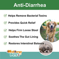 Anti Diarrhea Liquid for Dogs - Dog Diarrhea Relief with Kaolin (4 Oz.)