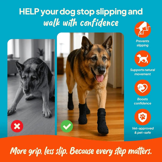Anti-Slip Dog Socks with Straps, Breathable & Washable – 4 Pack (XS–XXL) - BIG FRENCHIES