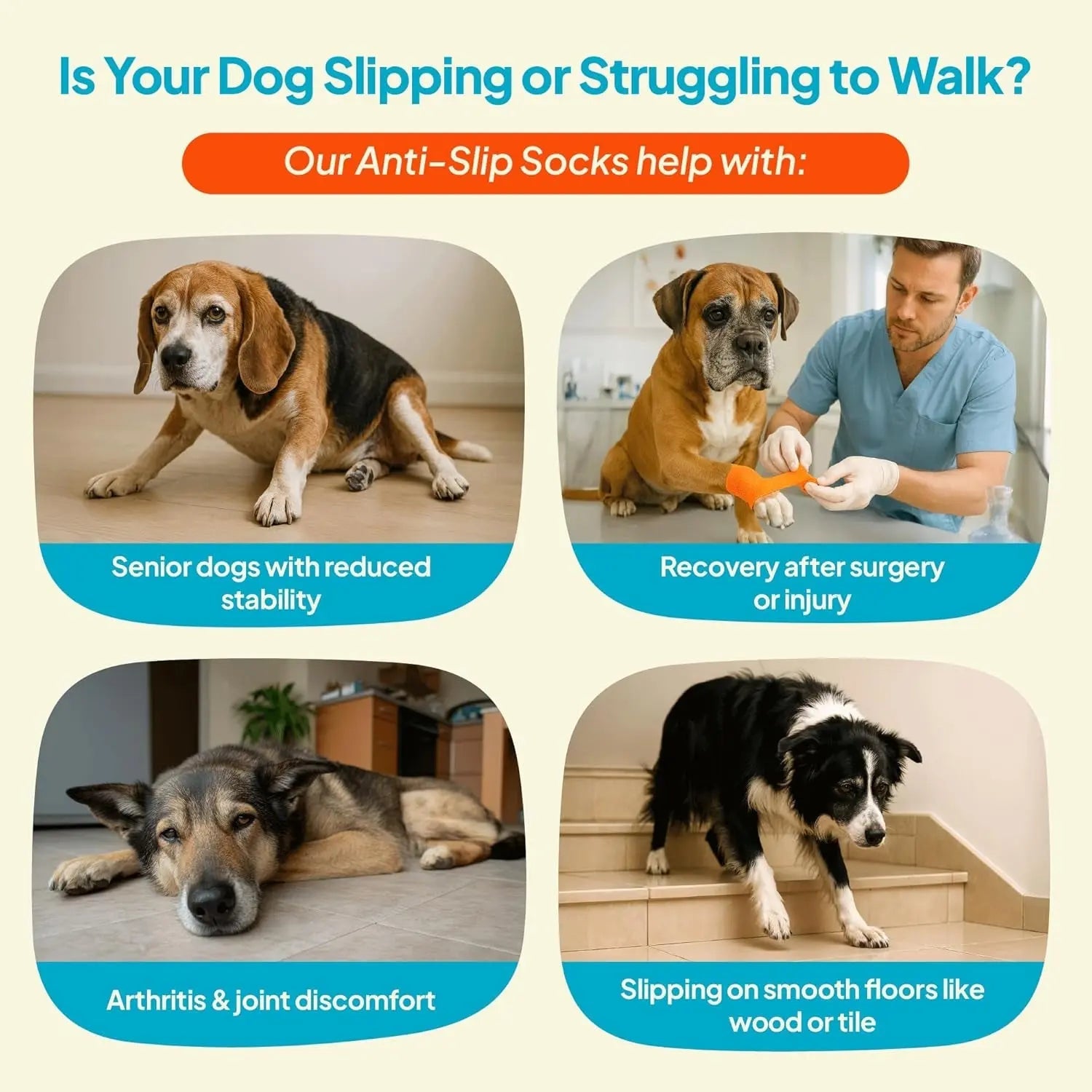 Anti-Slip Dog Socks with Straps, Breathable & Washable – 4 Pack (XS–XXL) - BIG FRENCHIES