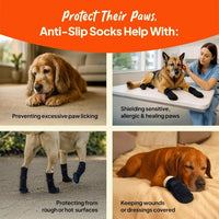 Anti-Slip Dog Socks with Straps, Breathable & Washable – 4 Pack (XS–XXL) - BIG FRENCHIES