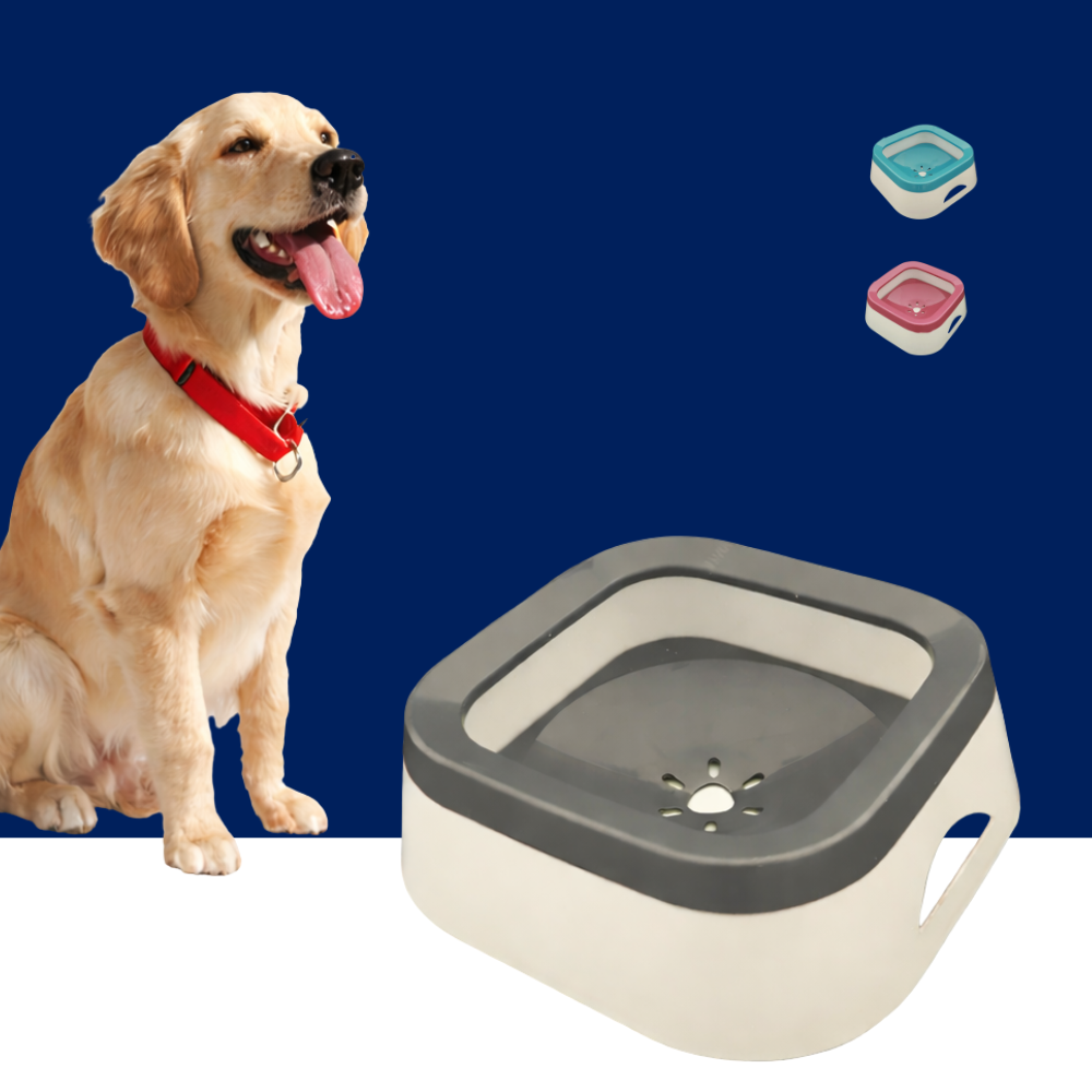Anti-Splash Dog Water Bowl 1L – Large Non Spill Water Bowl for Dogs - BIG FRENCHIES
