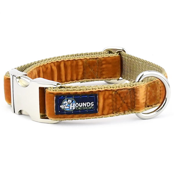 Antique Gold Velvet Essential Dog Collar-Pet Collars & Leashes-BIG FRENCHIES-2 Hounds Design