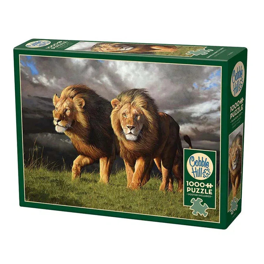 Approaching Storm 1000 Piece Jigsaw Puzzle Cobble Hill - BIG FRENCHIES