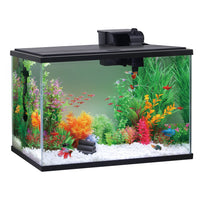 Glass 29 Gallon Aquarium Starter Kit, Black, 30.2''L X 12.44''W X 21.18''H - BIG FRENCHIES