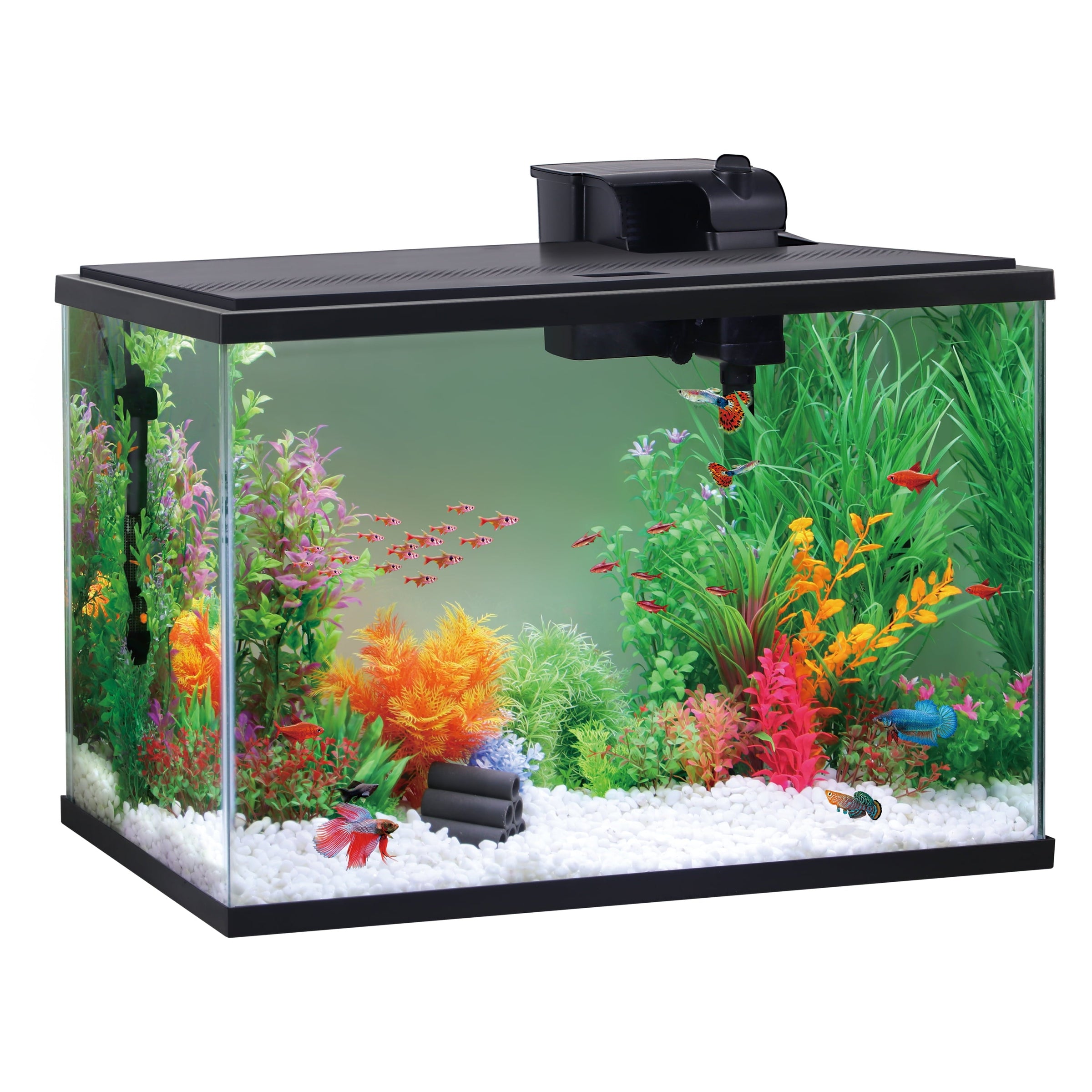 Glass 29 Gallon Aquarium Starter Kit, Black, 30.2''L X 12.44''W X 21.18''H - BIG FRENCHIES