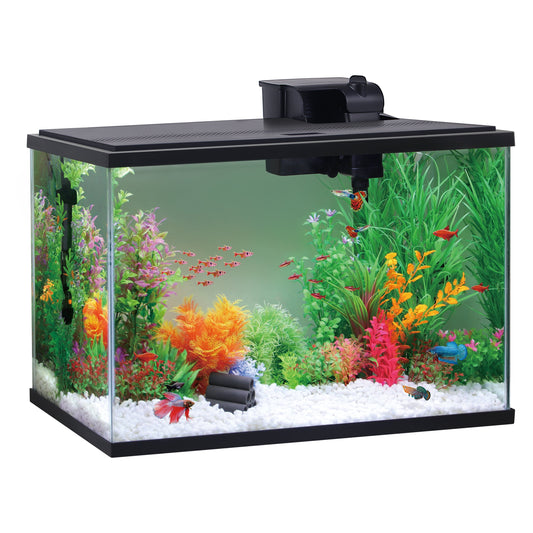 Glass 29 Gallon Aquarium Starter Kit, Black, 30.2''L X 12.44''W X 21.18''H - BIG FRENCHIES