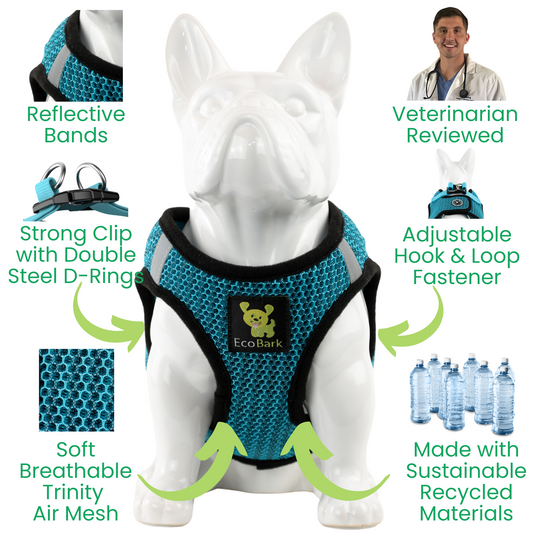 EcoBark Aqua Step In Dog Harness - Reflective Soft Mesh Harness for Small Dogs and Puppies - BIG FRENCHIES