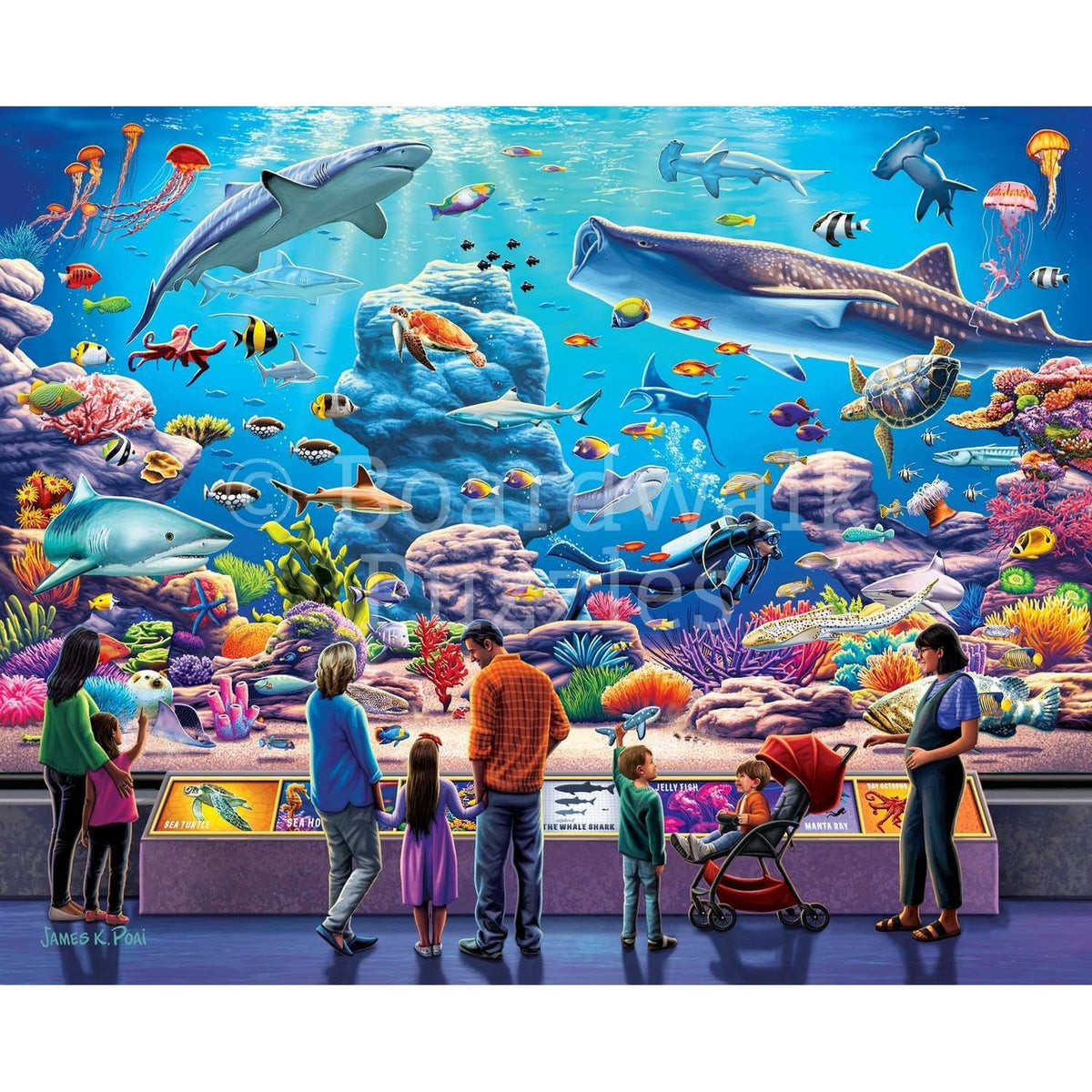 Aquarium 500 Piece Jigsaw Puzzle Boardwalk - BIG FRENCHIES
