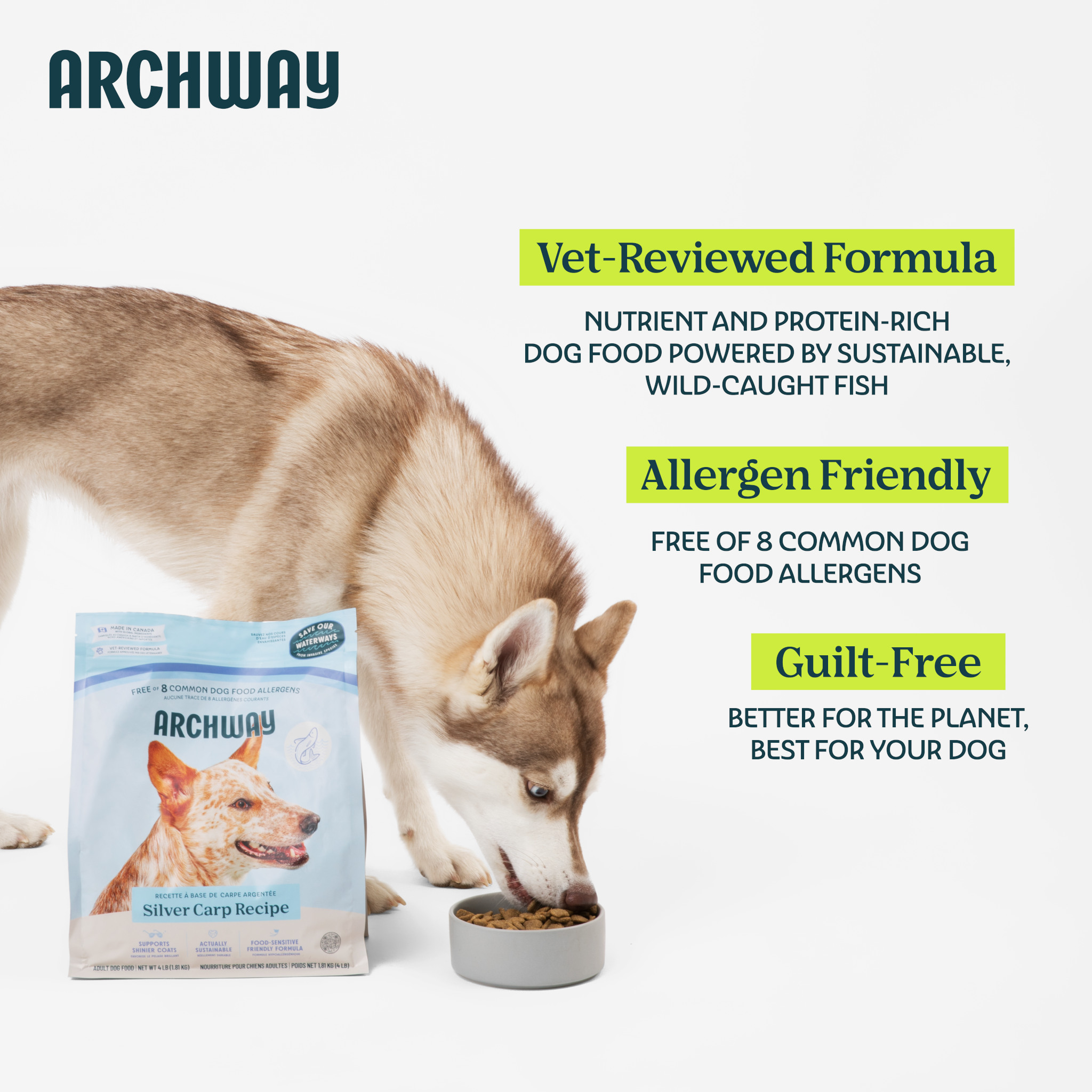 Silver Carp Dog Food