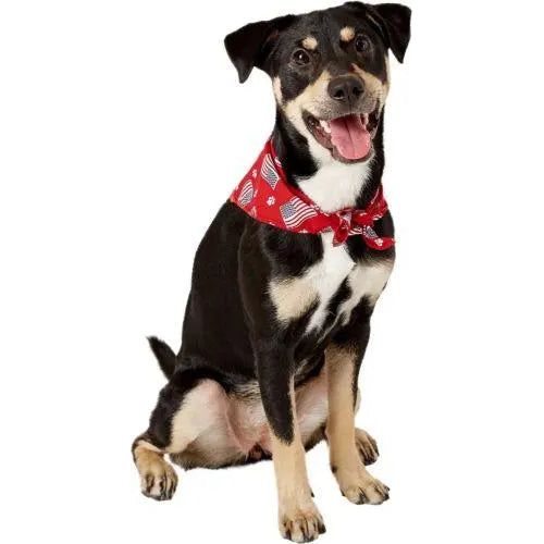 Aria Paws N' Stripes Forever Bandanas for Dogs