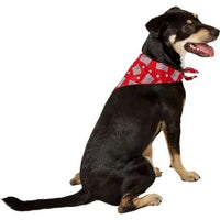 Aria Paws N' Stripes Forever Bandanas for Dogs
