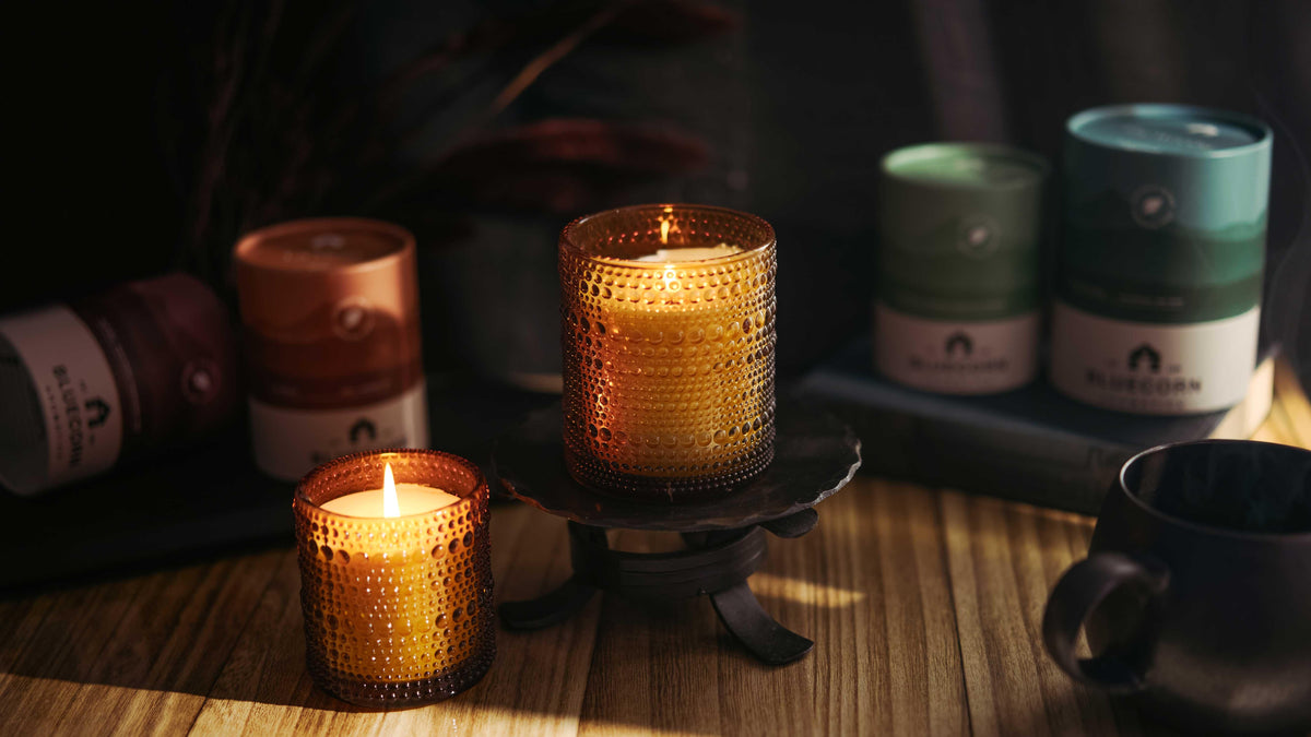 Winter Scented Candle Pair: Pine & Spice Aromática - BIG FRENCHIES