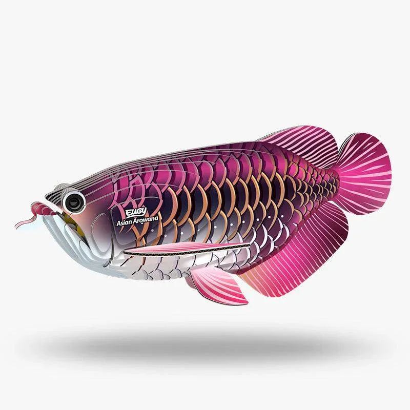 Asian Arowana 3D Cardboard Model Kit Eugy - BIG FRENCHIES