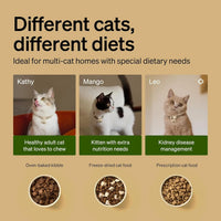 Automatic Cat Feeder with Collar Sensor & App Control for Multi-Cat Homes