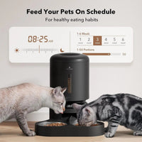 Automatic Cat Feeder with Timer, 6 Meals/Day, Freshness Lock & Low Food Sensor. Smart Dry Food Dispenser for Cats & Dogs - BIG FRENCHIES