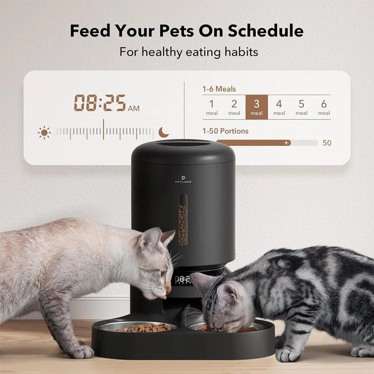 Automatic Cat Feeder with Timer, 6 Meals/Day, Freshness Lock & Low Food Sensor. Smart Dry Food Dispenser for Cats & Dogs - BIG FRENCHIES