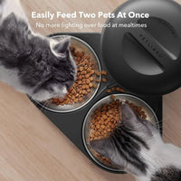 Automatic Cat Feeder with Timer, 6 Meals/Day, Freshness Lock & Low Food Sensor. Smart Dry Food Dispenser for Cats & Dogs - BIG FRENCHIES