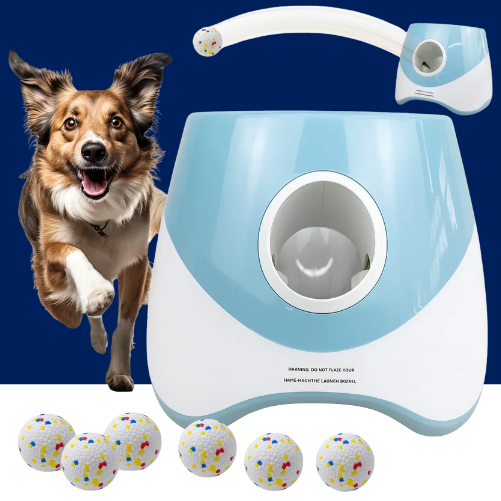 Automatic Dog Tennis Ball Launcher – Rechargeable Interactive Ball Throwing Machine for Small & Medium Dogs - BIG FRENCHIES