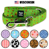 Dog Leashes
