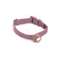 Pack Collar