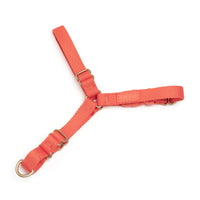 Roam Harness - Last Chance
