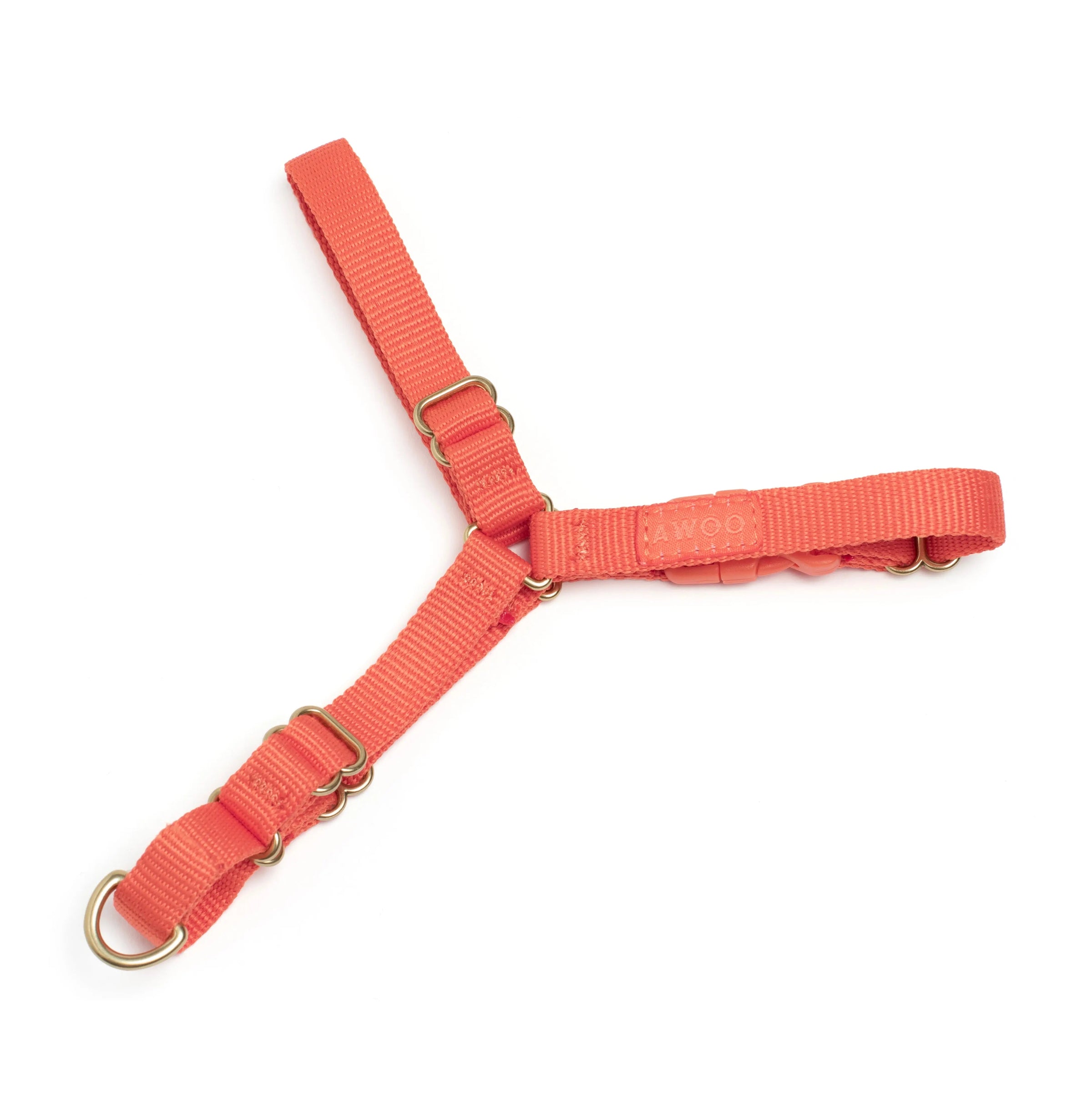 Roam Harness - Last Chance