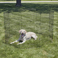 New World by MidWest 24-Inch Exercise Pen, No Door - Large Dog Pen: 42-Inch High - image 2