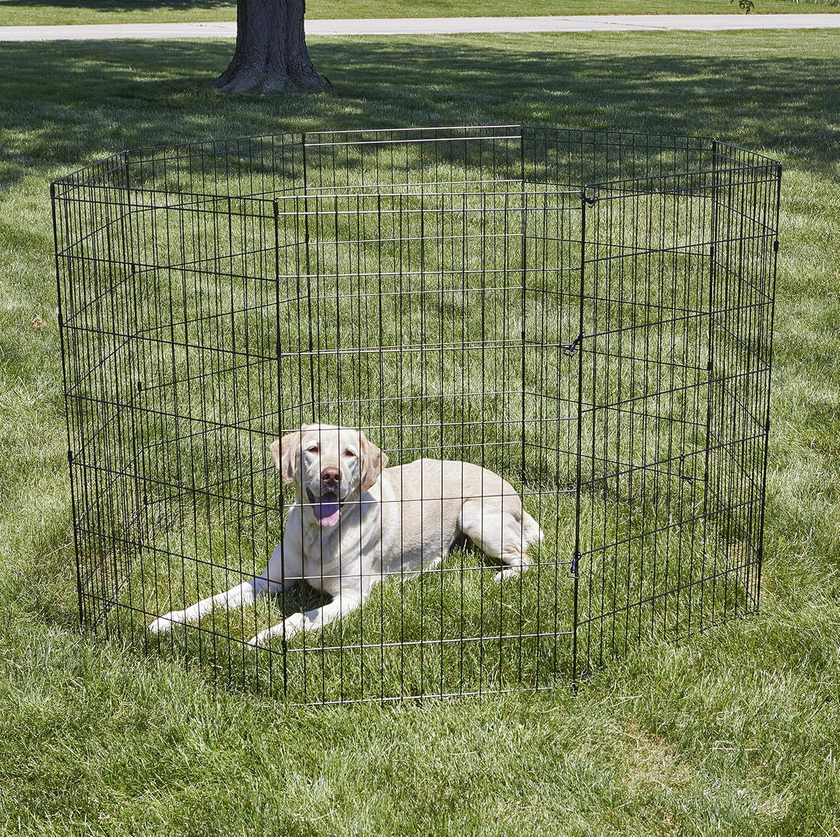 New World by MidWest 24-Inch Exercise Pen, No Door - Large Dog Pen: 42-Inch High - image 2